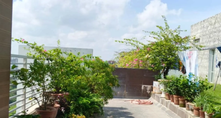 4600 sft 4-bedroom flat is ready for rent in gulshan Image 4