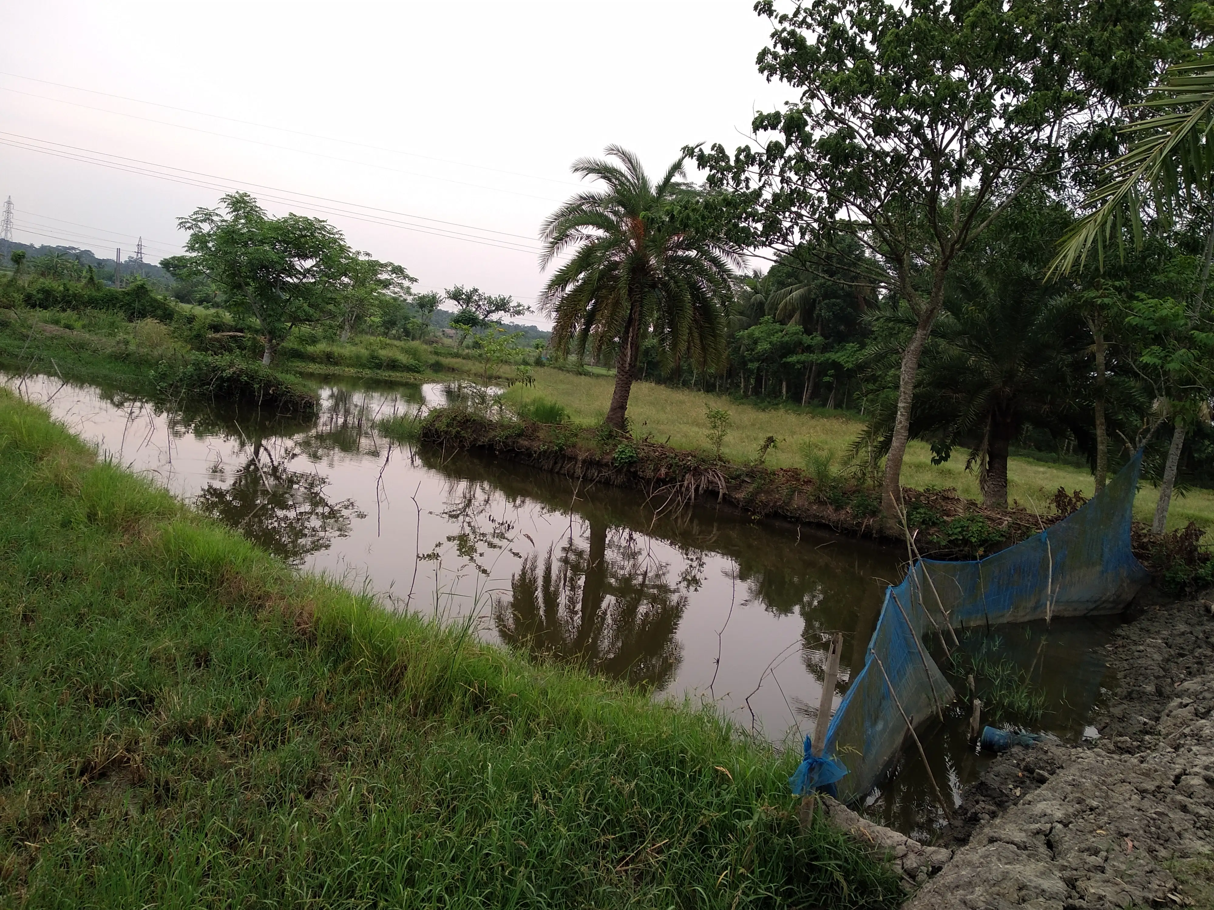 এক বিঘা জমি বিক্রি হবে। - Image 2