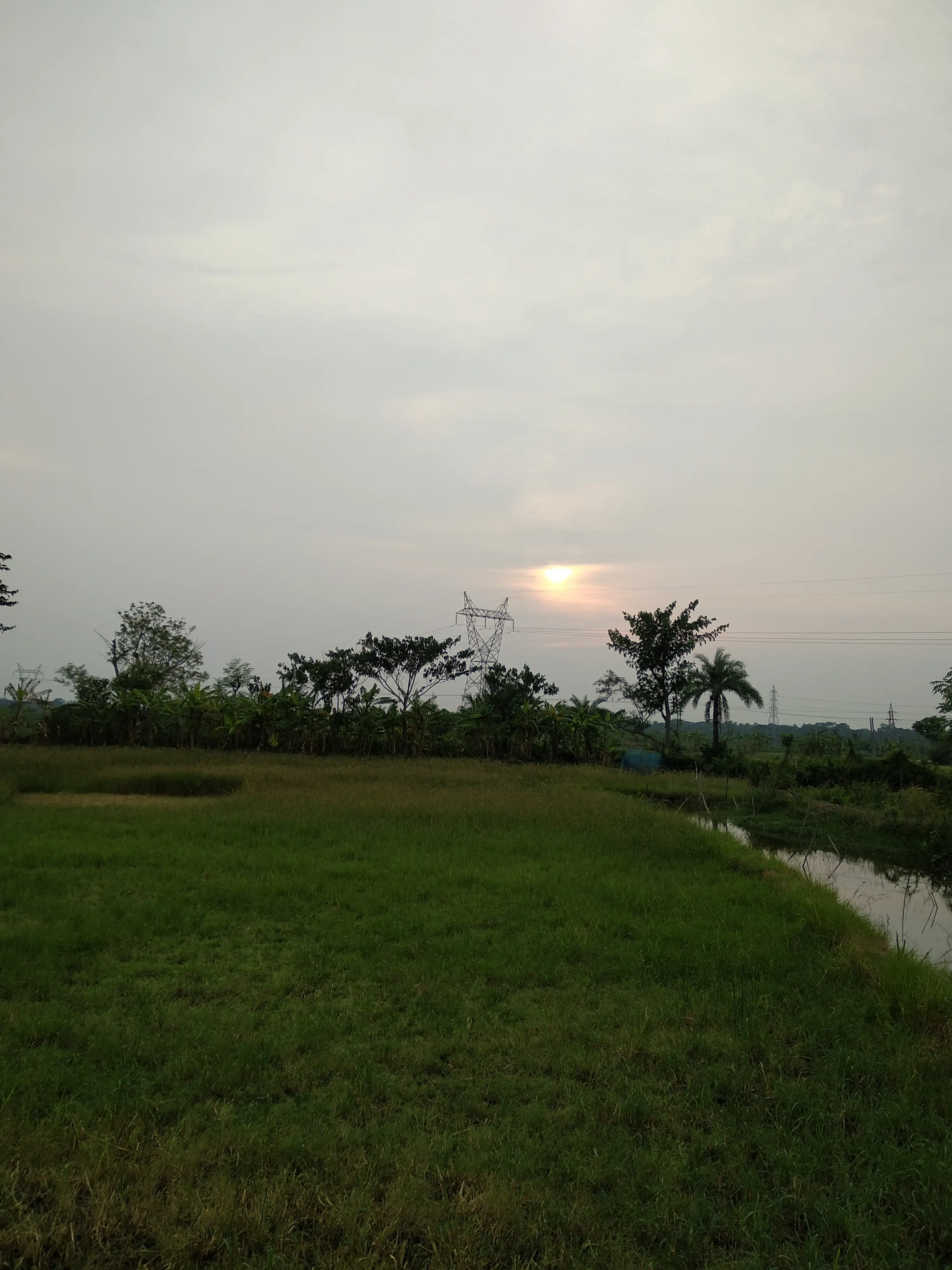 এক বিঘা জমি বিক্রি হবে। - Image 1
