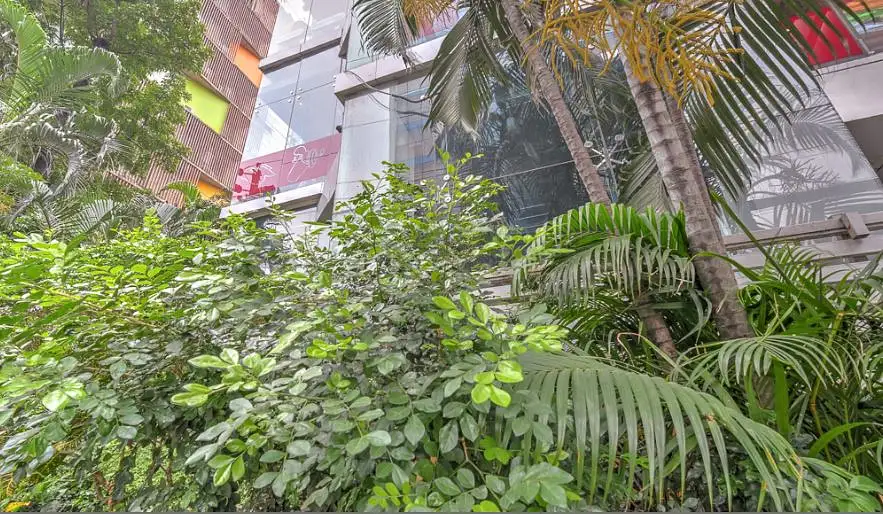 Spacious Commercial Floor for Rent in Dhaka, Banani - Image 2