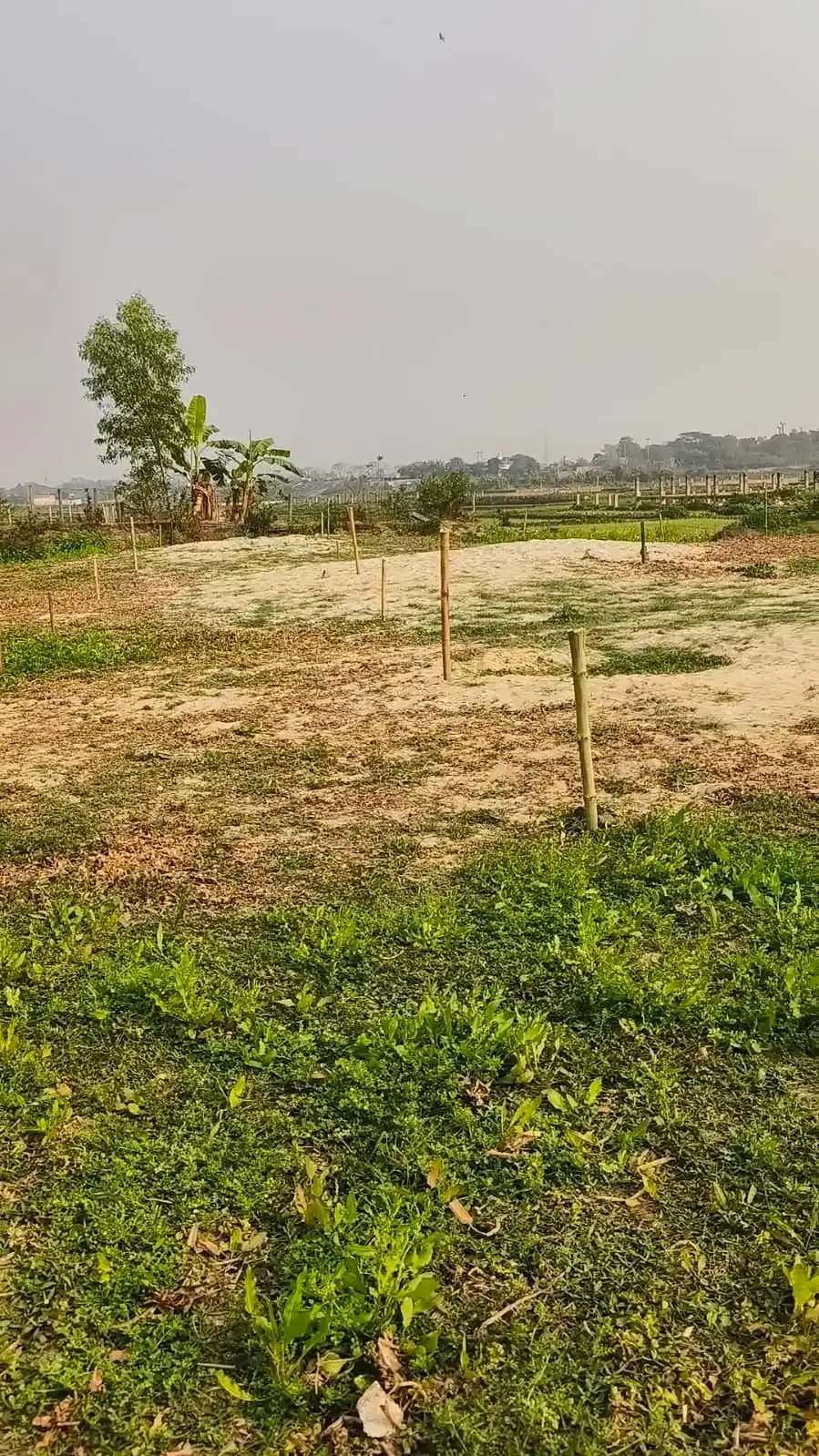 জমি বিক্রয় @টংগী, দত্তপাড়া, বনমালা - Image 3
