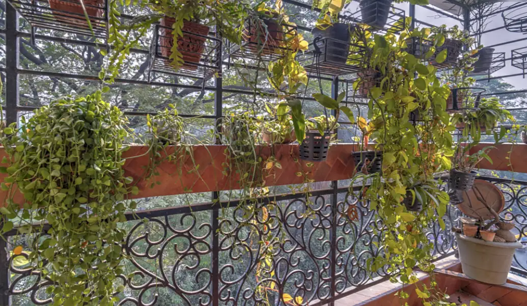 4-Bedroom Luxury Apartment for Rent in Dhanmondi, Dhaka Image 13