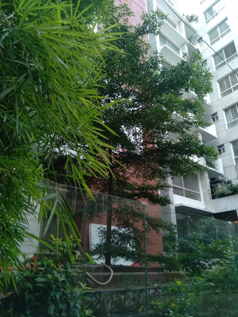 3-Bedroom 2360 SFT Luxury Apartment Sale in Bashundhara R-A Image 1