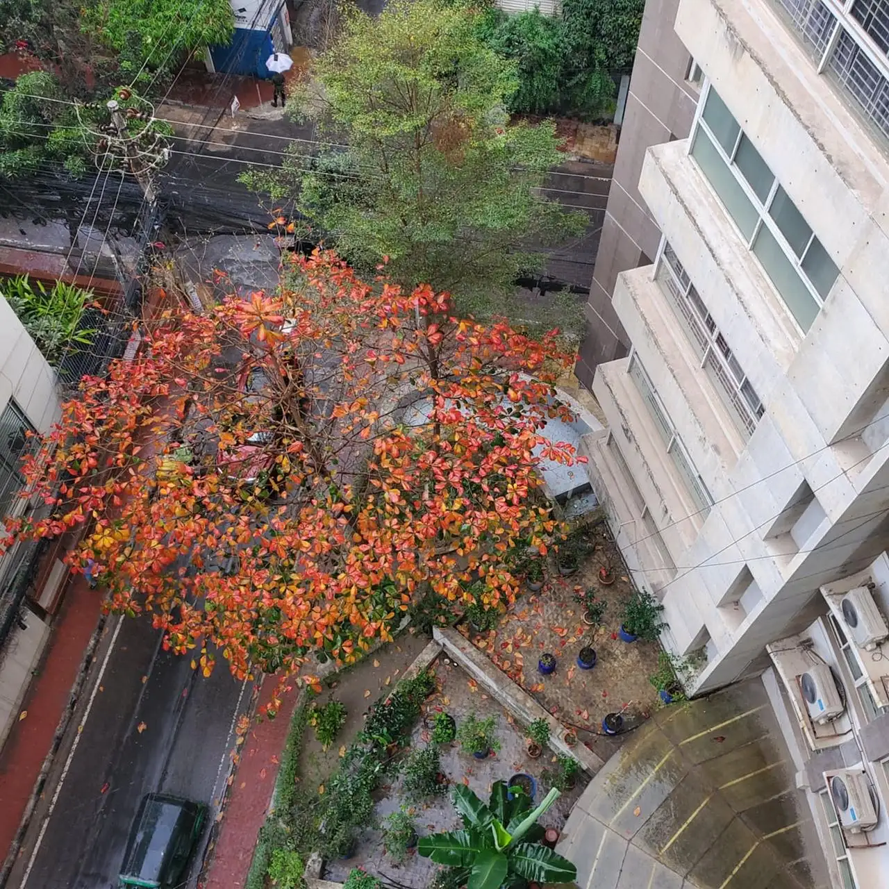 3-Bedroom Luxury Apartment Sale in Dhaka, Gulshan 1 Image 7